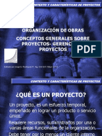 1. contexto y caracter�sticas de los proyectos