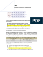 Simce 1 - Pauta 2 Medio Biologia