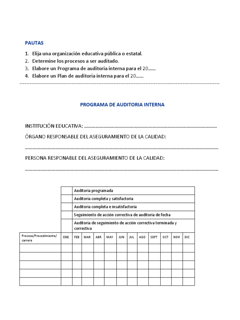 Pautas - Programa y Plan de Auditoria Interna | PDF | Auditoría | Business