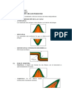 Clasificación y Repartición