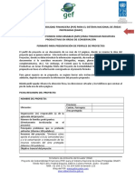 Fomato_Perfiles_Proyectos_270913 (1).doc