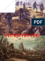Sturmtruppen_tropas de Assalto