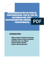 TRABAJO de Bioprocesos