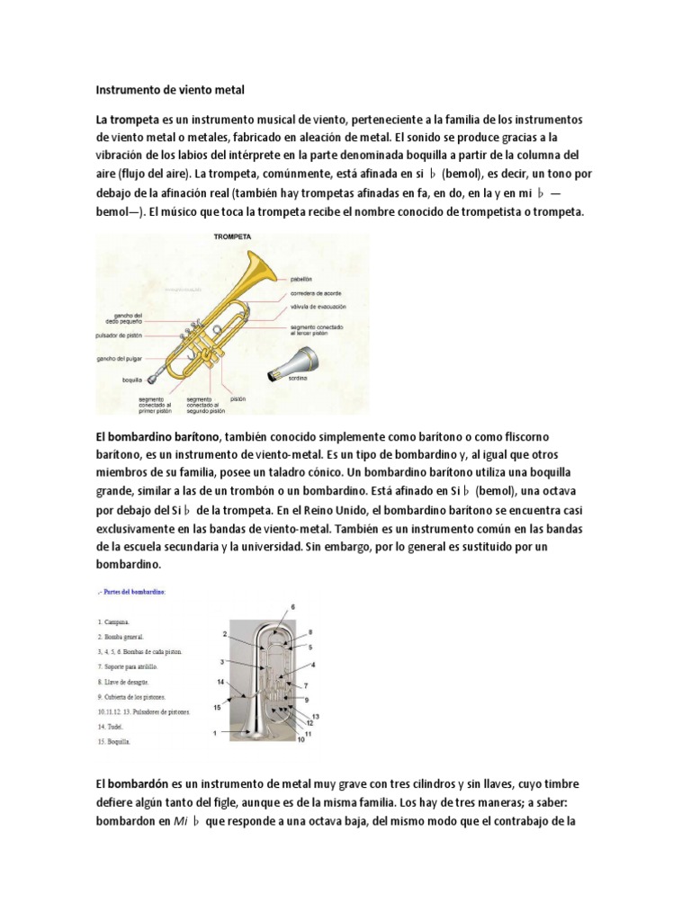 Instrumentos de Viento Metal en Música | PDF | Acordeón | Saxofón
