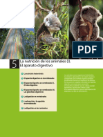 nutricion_animales.pdf