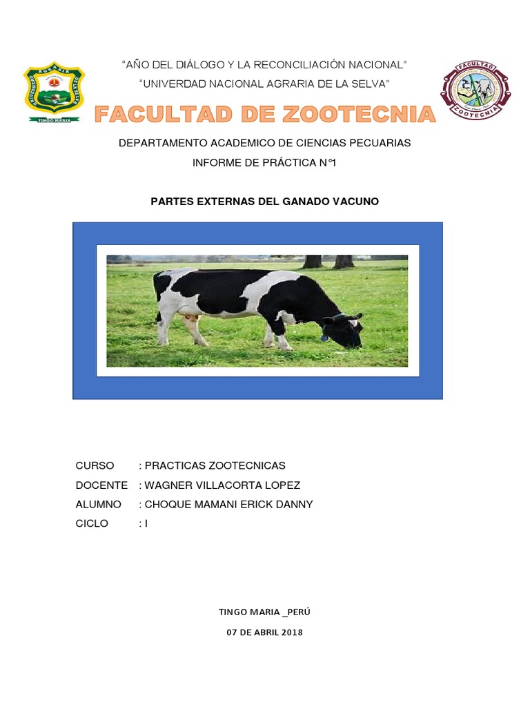 Partes Externas Del Ganado Vacuno Pdf Vacas Naturaleza