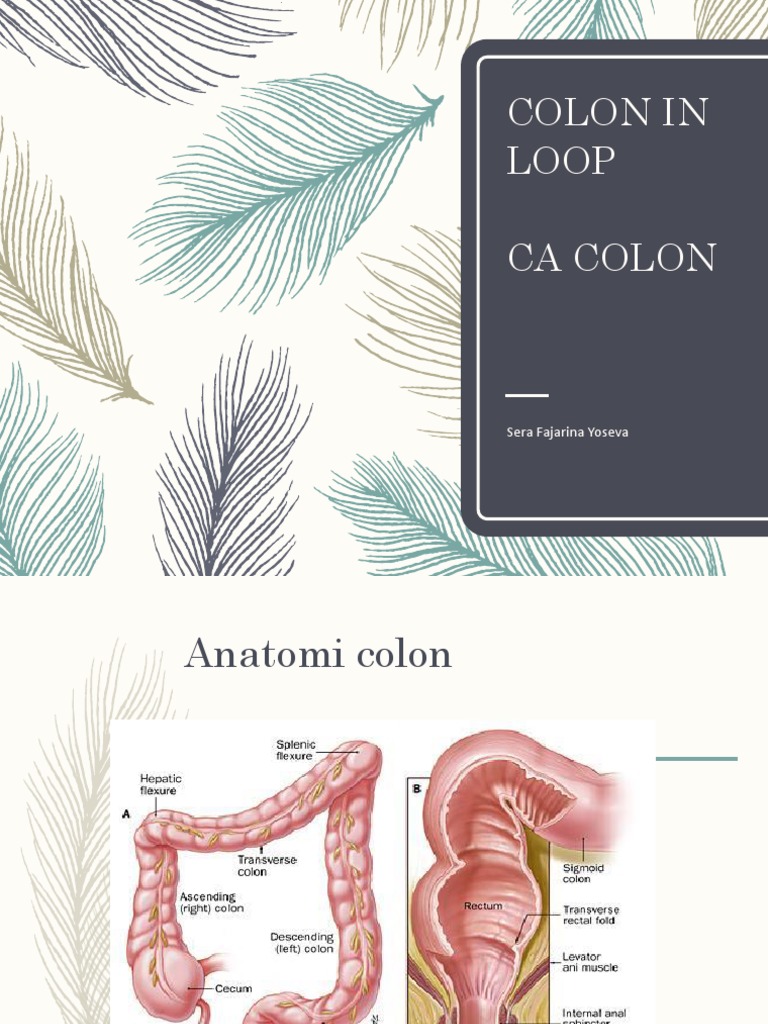 Teknik Pemeriksaan Colon in Loop | PDF | Sains & Matematika
