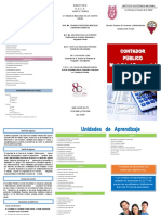 Contador publico.pdf