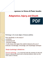 Adaptation, Injury, and Death: Cellular Responses To Stress & Toxic Insults