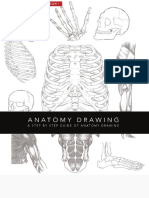 Anatomy Drawing - Conor Power