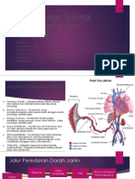Kelompok 6 Anatomi Dan Fisiologi Sirkulasi Fetus Dan Neonatus
