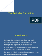 The Reticular Formation