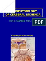 07pathophysiology of Cerebral Ischemia-opr 2011