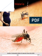 Presentation2 (Malaria)