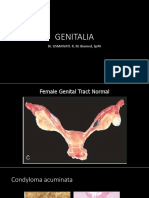 Genitalia 2016