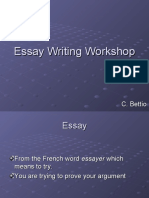 Essay Writing Workshop