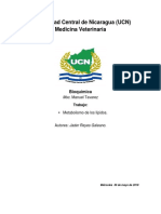 Metabolismo de los lípidos. 