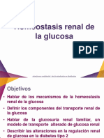 Homeostasis Renal de Glucosa