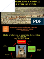 Ciclo productivo y comercio de la fibra de vicuña