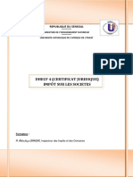 248146620-Cours-IS-UCAO-NV-II.pdf