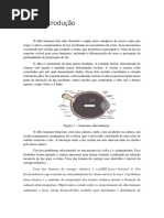 Trabalho Biofotonica