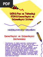 Denetleyici Ve Duzenleyici Sistem