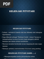 2.3.1. Kelenjar Pituitari