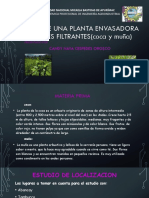 Diseño de Una Planta Envasadora de Mates Filtrante