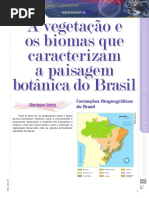 As Características Das Vegetações No Mundo E No Brasil