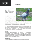 LA PALOMA