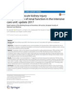 Prevention of Acute Kidney Injury and Protection of Renal Function in the Intensive Care Unit Update 2017 Expert Opinion of the Working Group on Prevention, AKI Section, European Society of Intensive Care Medicine