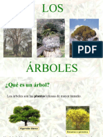 losrboles-100310132757-phpapp02