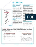 El Sangrado de Columna PDF