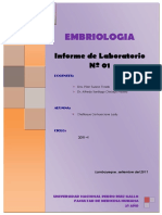 INFORME+Nº+01+-LAMINAS+DE+LABORATORIO.docx