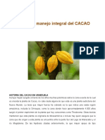 105488367 Manual de Cacao