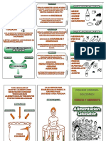 ALIMENTACION SALUDABLE Triptico - CLASIFICACION