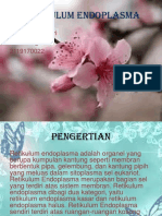 Pert-10 BIOSEL PPT Retikulum endoplasma-1bk