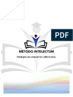 Manual-Intelectum.pdf