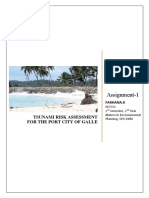 Assignment-tsunami Risk Assessment_Farhana