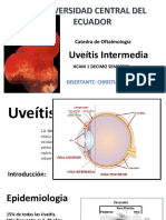 EXPO UVEITIS INTERMEDIA.pptx