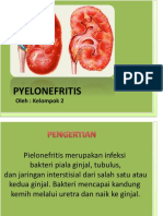 Pyelonefritis