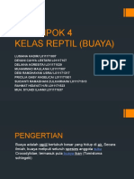 Kelompok 4 Buaya