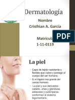 Problemas dermatologicos más frecuentes.pdf