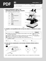 tv5_fichaavaliacao_6c