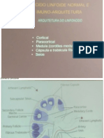 AULA - Hematopatologia