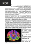 O que é inteligência