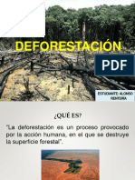 Deforestacion