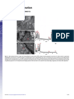 Supporting Information: Mccollom 10.1073/pnas.1611843113