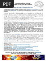 Como o cérebro funciona