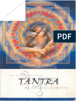 Georg Feuerstein: Tantra, Az Extázis Ösvénye